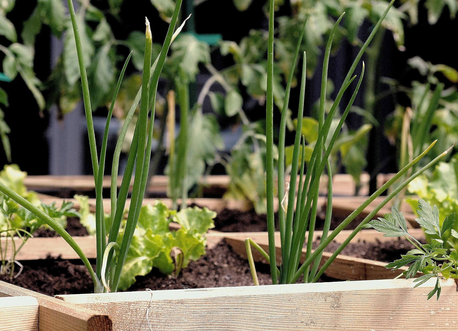 Gardening