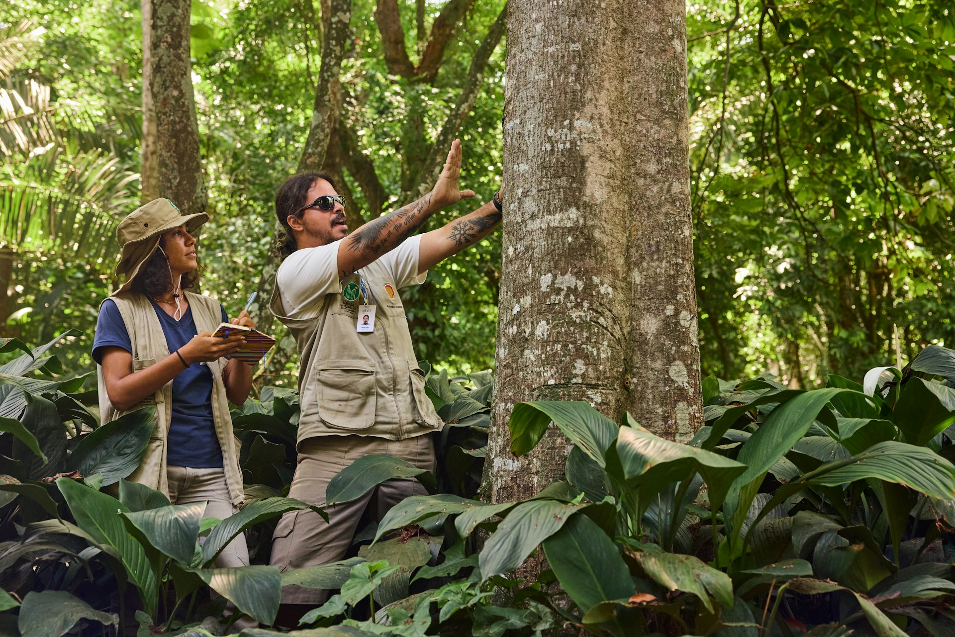 Conservation